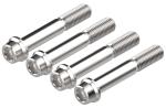 Bremssattel Schraubenset Road von Evotech Performance